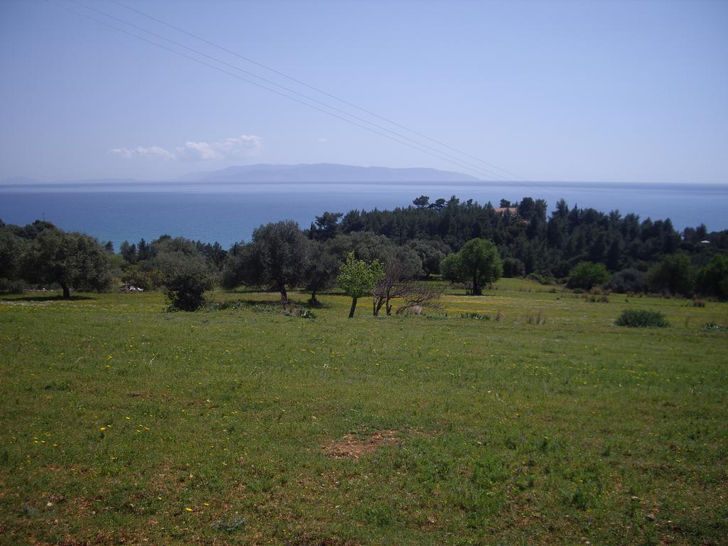 Apsedes Studios Trapezaki  Kamer foto